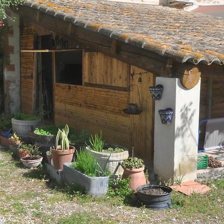 La Ferme De Tonton Jules 2 Hotel Entraigues-sur-la-Sorgue Exterior foto